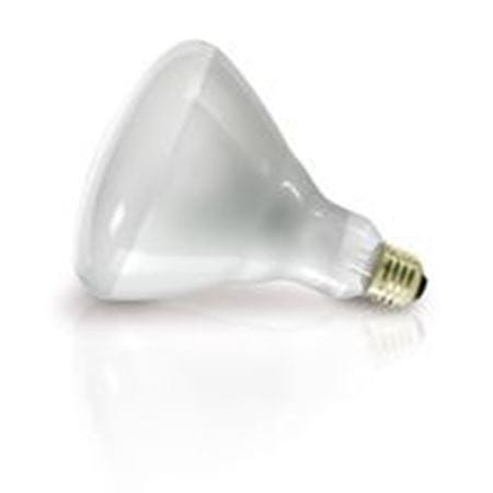 Picture for category R40 Heat Lamp