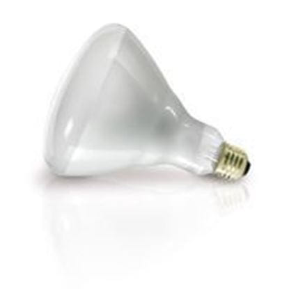 Picture of Light Bulbs Incandescents R40 Heat Lamp 250W medium 250R40 CL 12ML