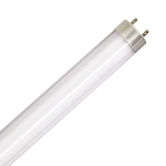 Picture of LED Bulbs Tubes - Replace Fluorescent 4FT T8 High Brightness Direct Install Glass 5000K L17T8 5K FR PLUGNGO (UNCOATED)