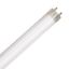 LED Bulbs Tubes - Replace Fluorescent 4FT T8 High Brightness Direct Install Glass 5000K 2400 LUMEN 17W L17T8 5K FR PLUGNGO (UNCOATED) 7YR
