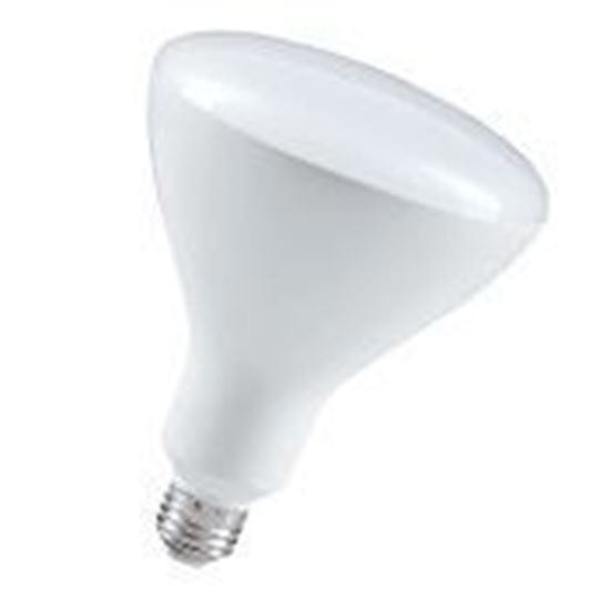 Picture of LED Bulbs Indoor Reflector BR40 5000K 13BR40 XtraBrite AW Dimmable XWFL 8YR (up to 120W BR40 REPLACEMENT)
