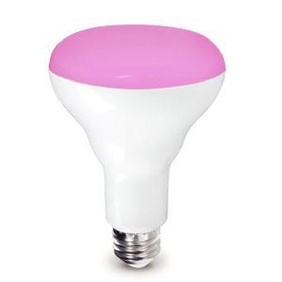 Picture of 9BR30/PINK/DIMMABLE/3YR