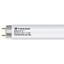 Light Bulbs Fluorescent Tubes Linear T8 Bipin F32T8 5700K VITALUX XB PLUS - XD5 15YR