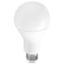 LED Bulbs A-Shape General Service Non-Dimmable 20WA21 3000K 3YR (200W INCAN. REPLACEMENT)