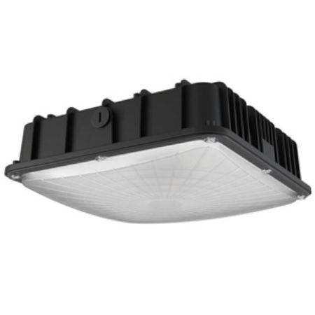 Picture for category Canopy and Ceiling Light