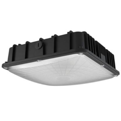 LED Indoor Outdoor Canopy/Ceiling Light 40W 5000K BLK 120-277V Xtreme Duty 7yr