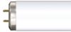 Light Bulbs Fluorescent Tubes Linear T12 Bipin F20T12 6500K D8265TC 5YR