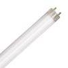 LED Bulbs Tubes - Replace Fluorescent 4FT T8 High Brightness Direct Install Glass 5000K 2400 LUMEN 17W L17T8 5K FR PLUGNGO (UNCOATED) 7YR